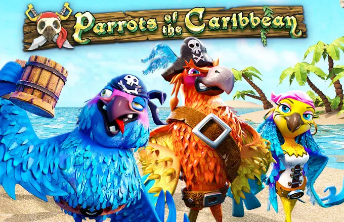 Parrots of Caribbean - Spin City - Congo